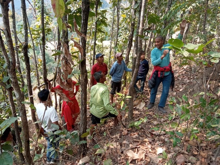 Kenttäkoulutus metsän harvennuksesta ja metsäpalojen ehkäisystä