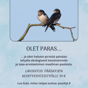 Olet paras -kortti